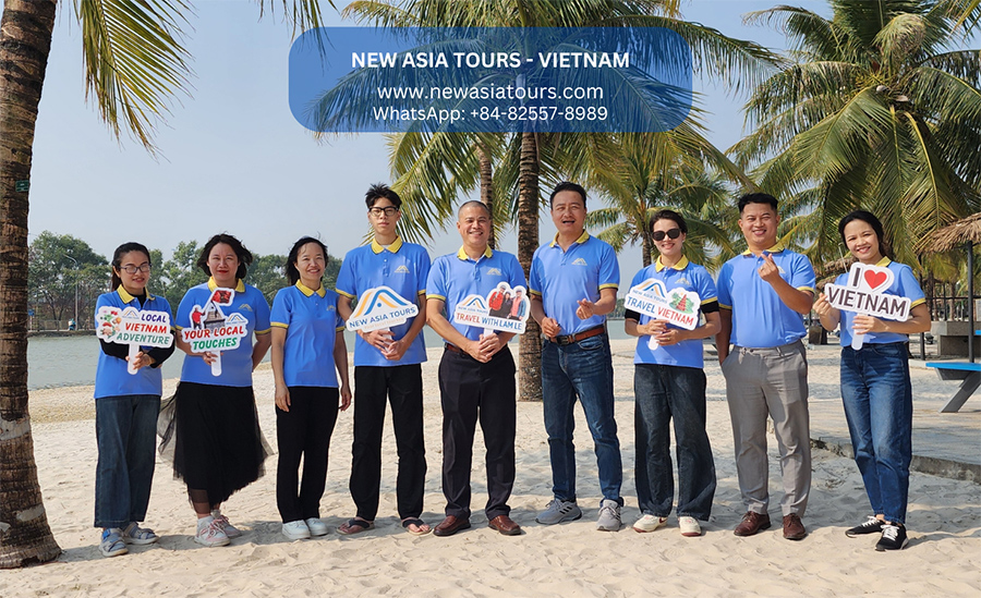 lĩnh vực hoạt động